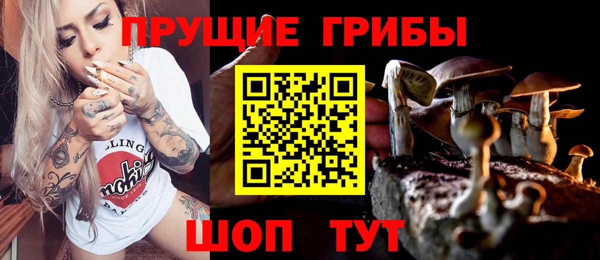 Галлюциногенные грибы прущие грибы Спасск-Дальний